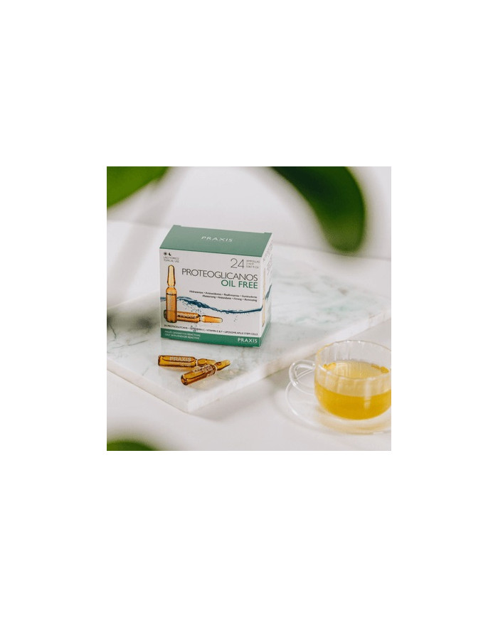 Praxis Proteoglicanos Oil free 24 ampule