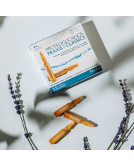 Praxis Proteoglicanos Classic 6 ampule