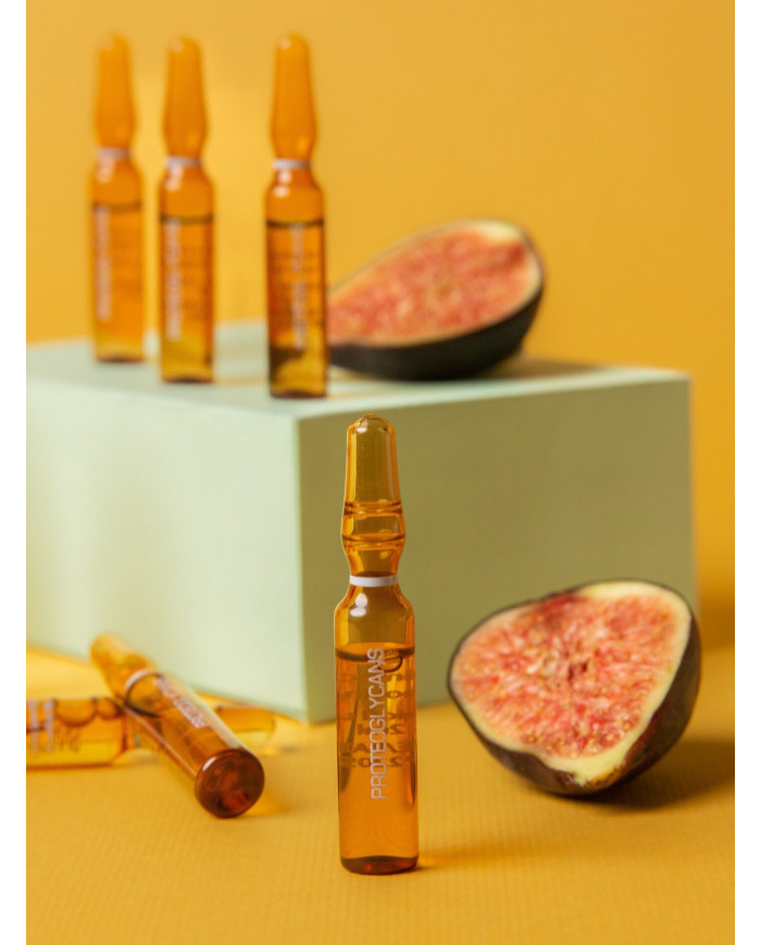 Alchemy Proteoglycans Plus revitalizační ampule 30x2 ml Alchemy Proteoglycans Plus revitalizační ampule 30x2 ml