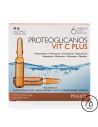 Praxis Proteoglicanos Vitamin C 6 ampule